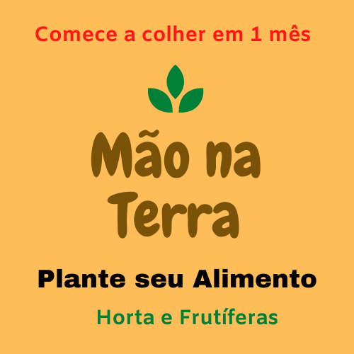 Clique e participe